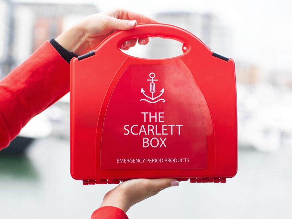 dsnm The Scarlett Box Blog image 3